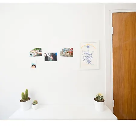 Hostel A In The
