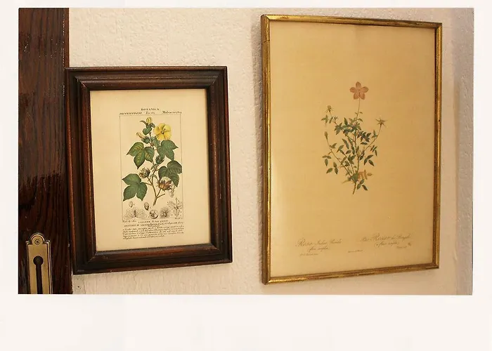 A In The Auberge de jeunesse *